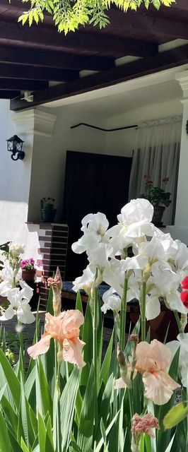 Gerendás Vendégház Poroszló