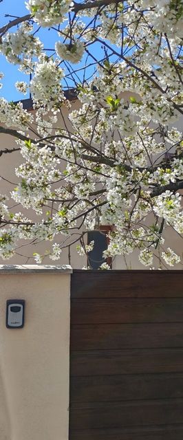 Vintage Apartman Mezőkövesd