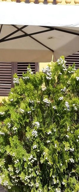 Apartmanok A Tenger Mellett Posedarje, Novigrad - 15786 Posedarje