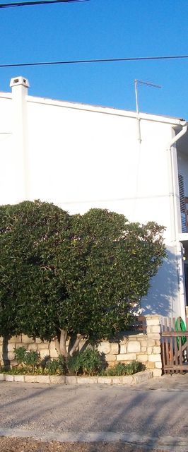 Apartmanok Parkolóhellyel Pag - 16016