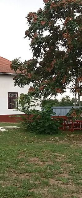 Anikó Vendégház Tiszadob