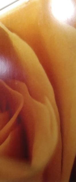 Rózsa Apartmanház Szeged