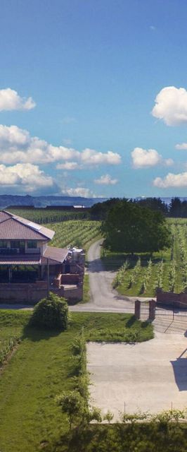 Ebner Pince Panzió Mozsgó