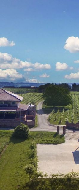 Ebner Pince Panzió Mozsgó