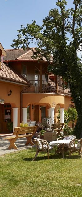 Mocz Tanya Somogyszob