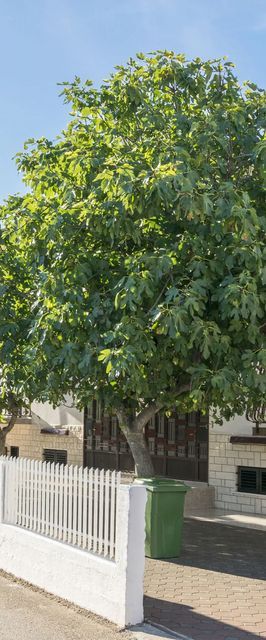 Apartments Matejka I Primosten