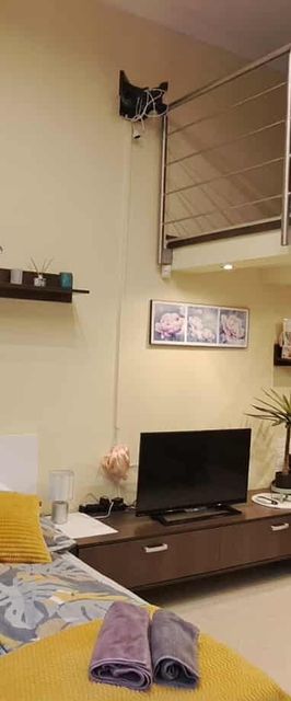 Szandi Belvárosi Apartman Szeged