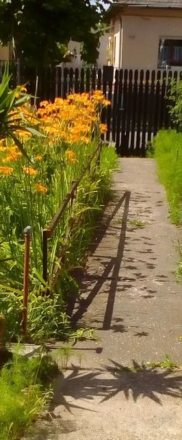 Dominikagarden Apartman Budapest