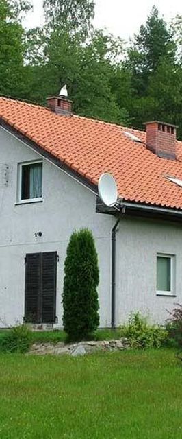 Dom Leśna Struga Stronie Śląskie