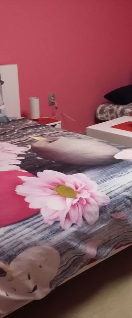 Kolibri Vendégház Mórahalom