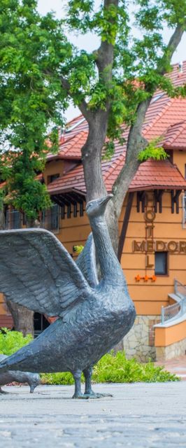 MeDoRa Park – Hotel MeDoRa Gárdony