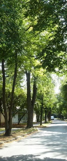 Knédli Apartman Miskolc