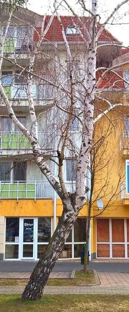 Dunai Apartman Zalakaros