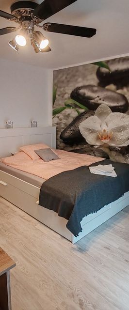 Orchidea Apartman Harkány