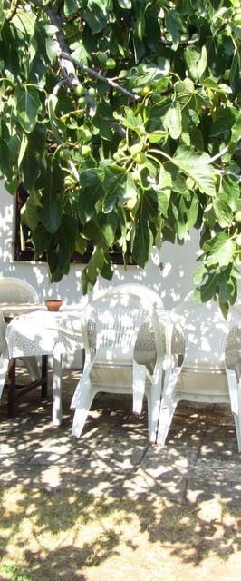 Apartmanok A Tenger Mellett Slatine, Ciovo - 15916 Slatine