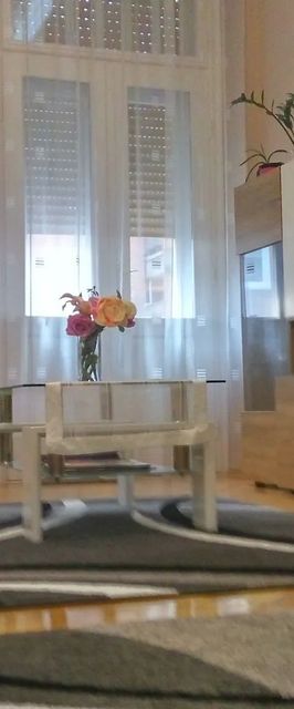 Belváros Szíve Apartman Szeged