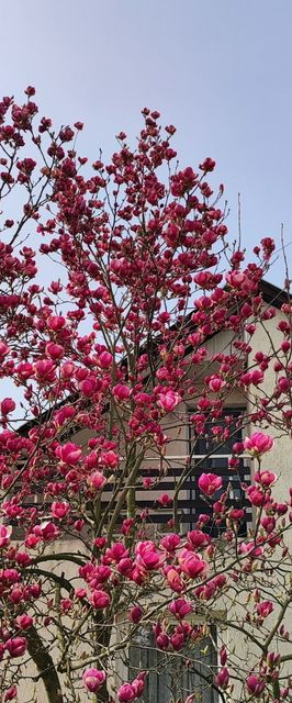 Frédi Vendégház Bogács