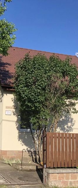 Magnólia Apartman Mezőkövesd