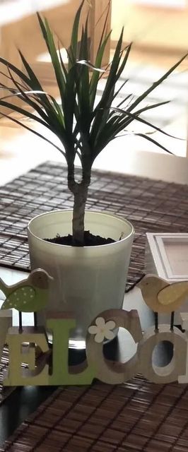 Magnólia Apartman Mezőkövesd