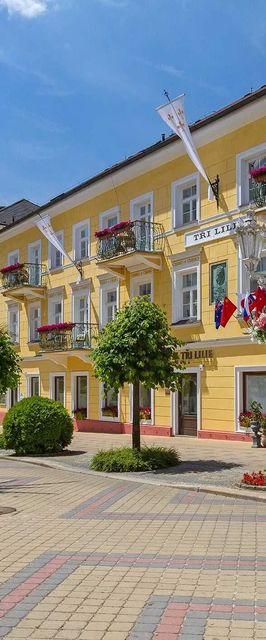 Hotel Tři lilie Františkovy Lázně