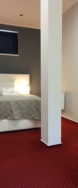 PENZION SARAYA WELLNESS Teplice