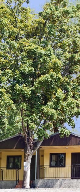 Resort Beach Nová Živohošť Křečovice