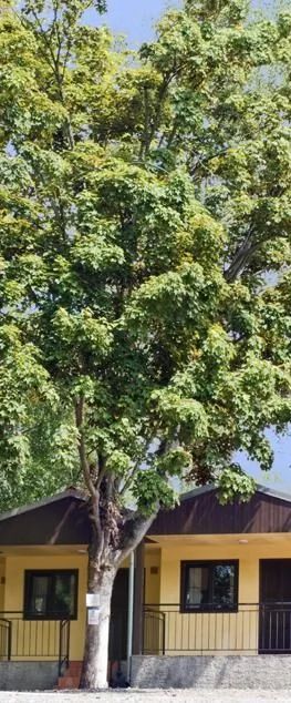 Resort Beach Nová Živohošť Křečovice