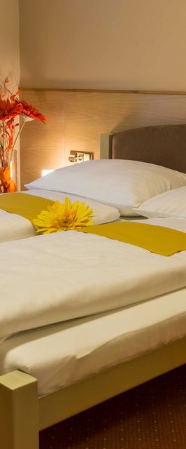 Hotel Lužnice Planá nad Lužnicí