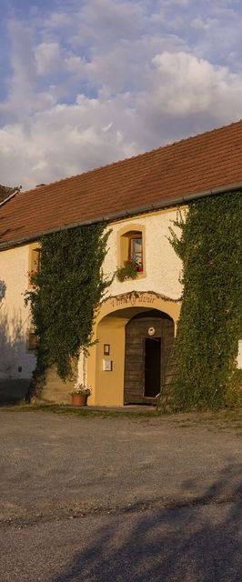 Vinický dvůr Omlenice