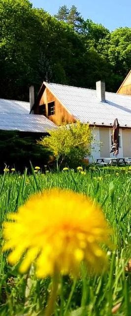 Penzion Pod Houskou Blatce