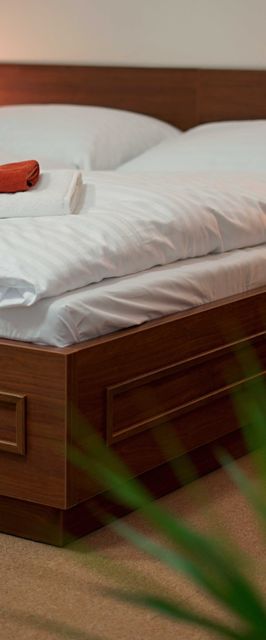 Zámecký Penzion Valašské Meziříčí