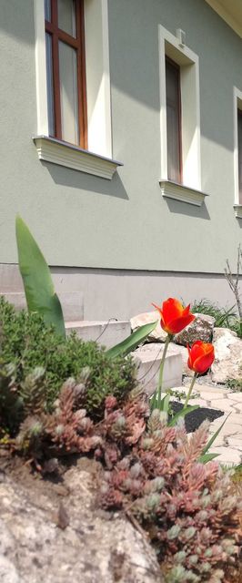 Fojtova Studna - Apartmány Sedlec