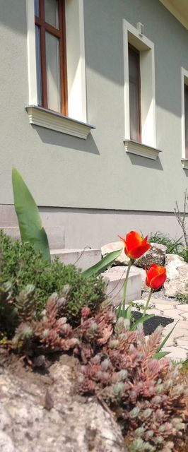 Fojtova Studna - Apartmány Sedlec