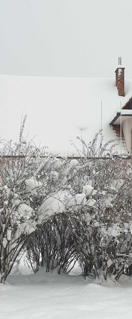 Pension Fortuna Halenkov