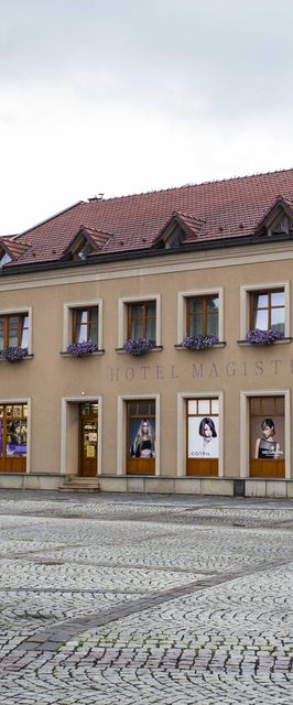 Hotel Magistr Vsetín