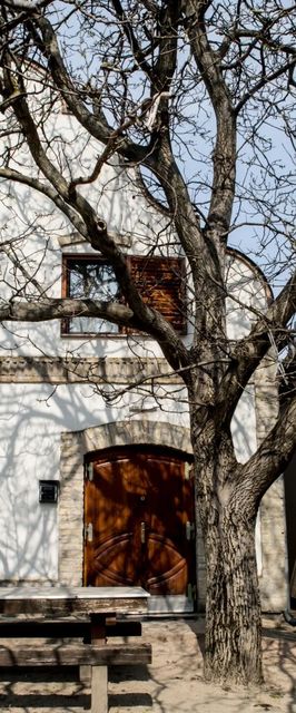 Berger Pince és Vendégház Hajós