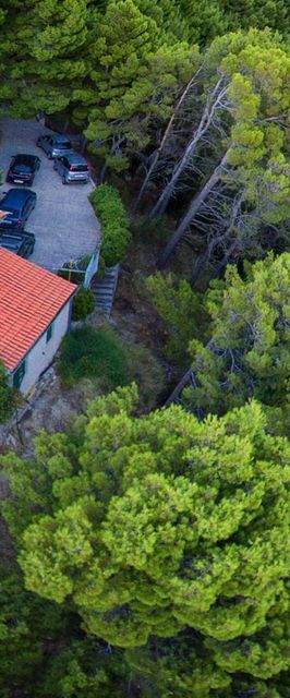 Apartments Mira Brela