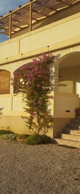 Apartments Luka Zubovici