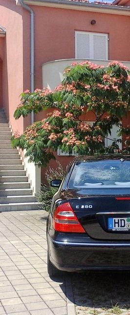 Apartments Danica Vodice