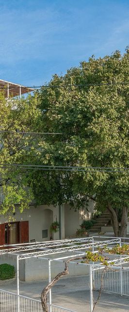 Apartments Amulic Duce