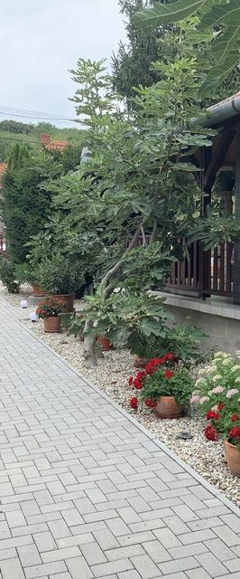 Bástya Apartman Fonyód