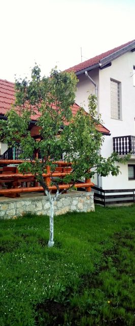 Apartmani Dale Plitvička Jezera