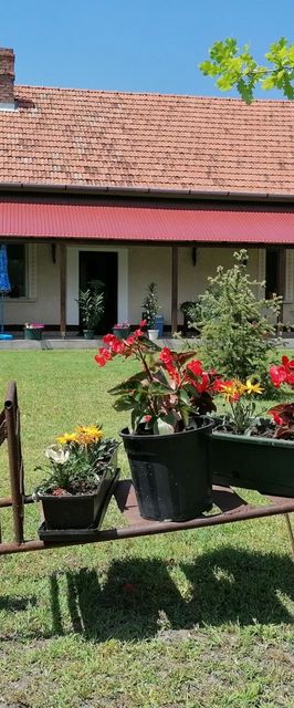 István Vendégház Mórahalom