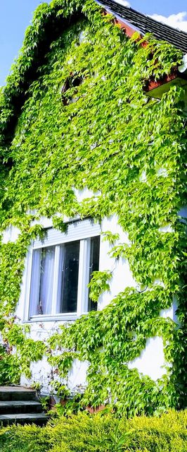 Pozsonyi Vendégház Zebegény