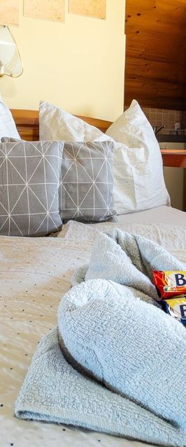 Lájer Apartman Lovas