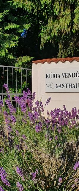 Fertődi Kúria Vendégház Fertőd
