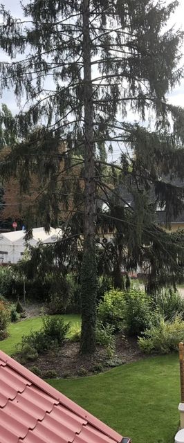 Nóra Nyaraló Ábrahámhegy