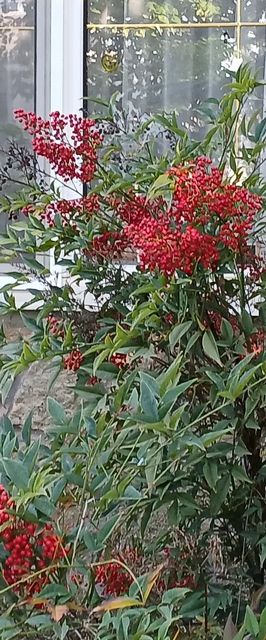 Vízközeli Vendégszoba Balatonfüred