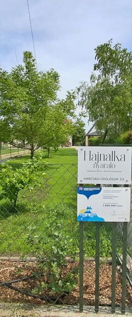 Hajnalka Nyaraló Békésszentandrás