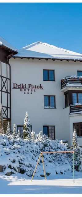 Hotel Dziki Potok Konferencje & SPA